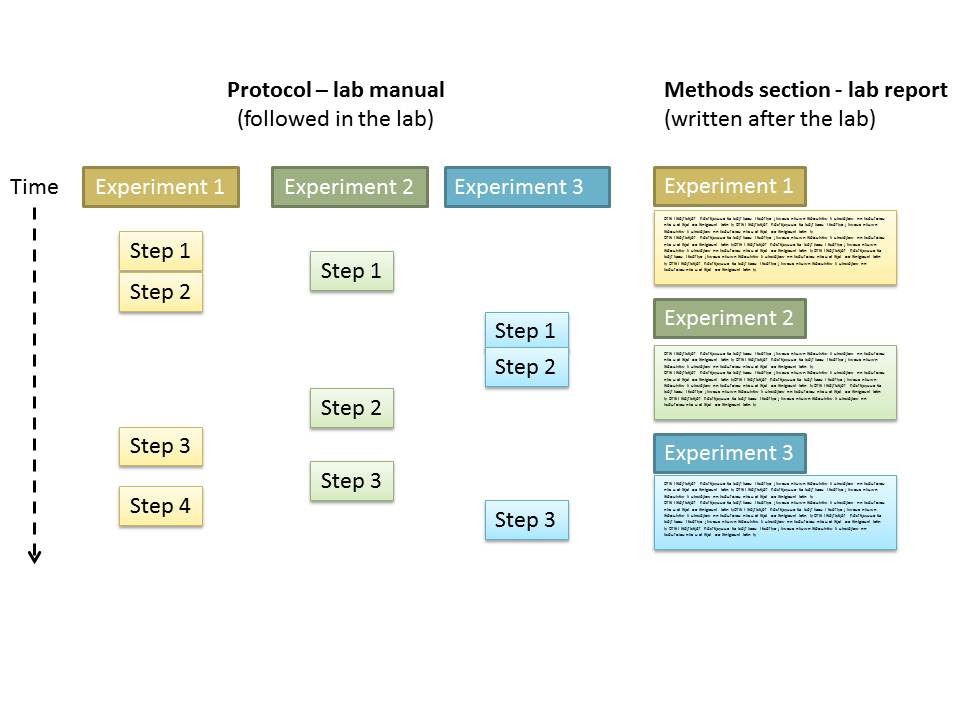 lab-report-materials and methods