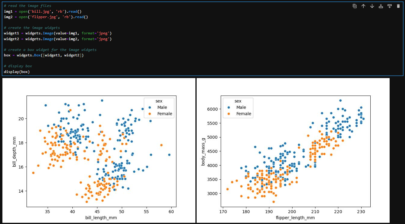 Live Python or R code with output in Jupyter Notebook