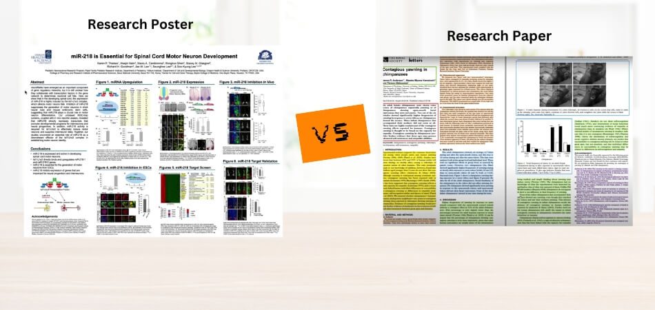 research poster vs research paper