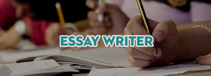 Essay writers