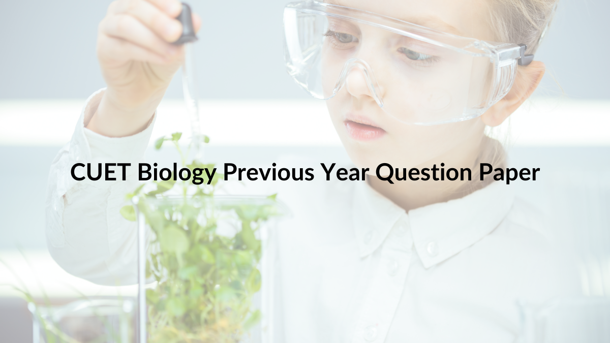 buy biology paper