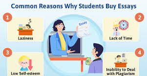 buy essay
