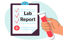 costs to get your lab report written