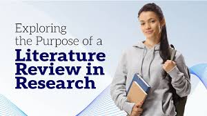 buy literature review