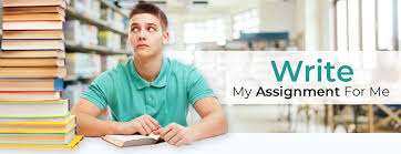 write my assignment