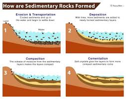 How Sedimentary Rocks Are Formed & What They Reveal About Earth’s History