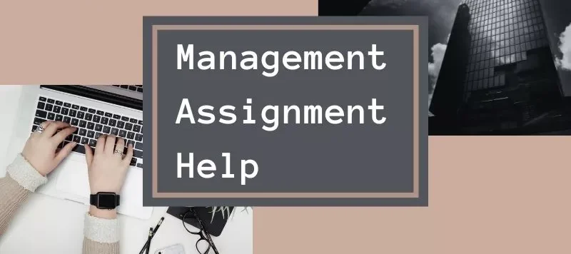 management assignment help