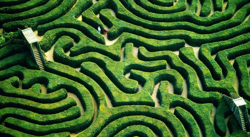 maze