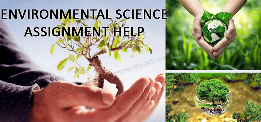 science assignment help