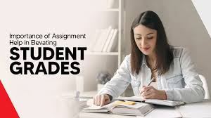 assignment help