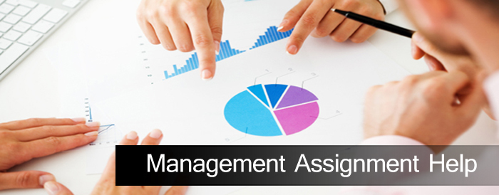 MBA Management Assignment