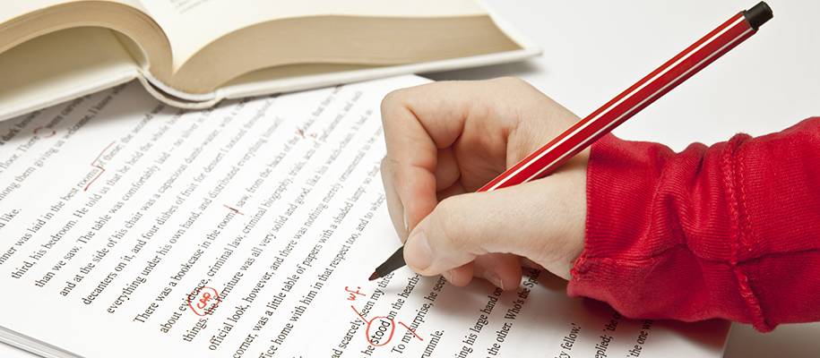 essay proofreading services