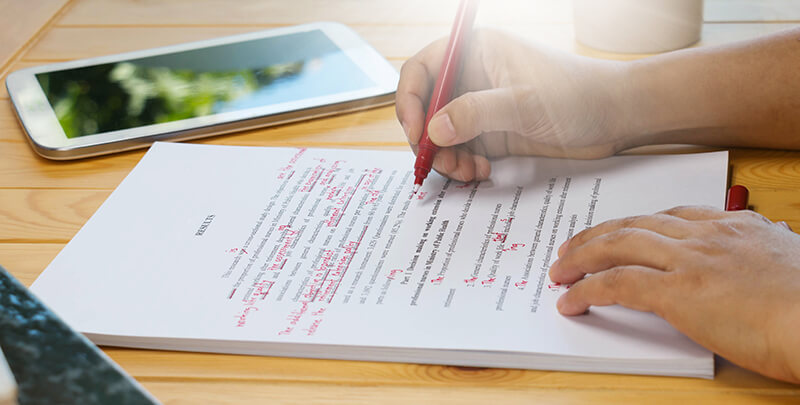 literature essay editing